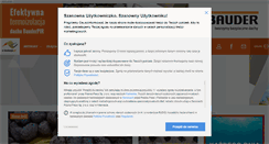 Desktop Screenshot of e-izolacje.pl
