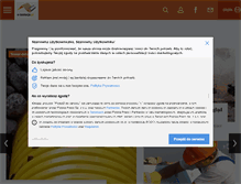 Tablet Screenshot of e-izolacje.pl